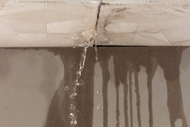 Professional Sewage Cleanup technician working in Auburn, MI